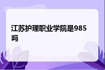 江苏护理职业学院是985吗？