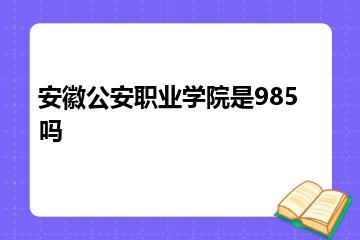 安徽公安职业学院是985吗？
