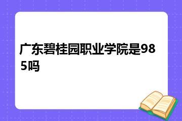 广东碧桂园职业学院是985吗？