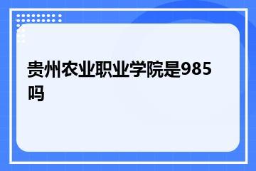 贵州农业职业学院是985吗？