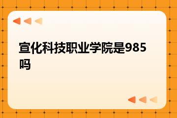 宣化科技职业学院是985吗？