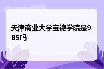 天津商业大学宝德学院是985吗？