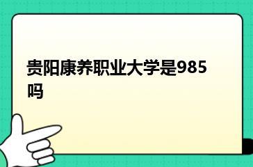 贵阳康养职业大学是985吗？