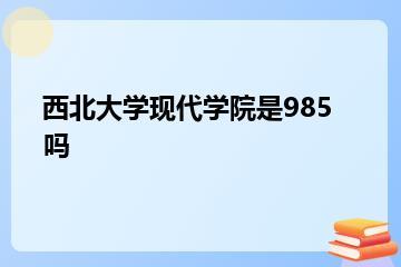 西北大学现代学院是985吗？