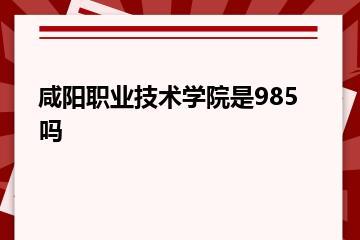咸阳职业技术学院是985吗？