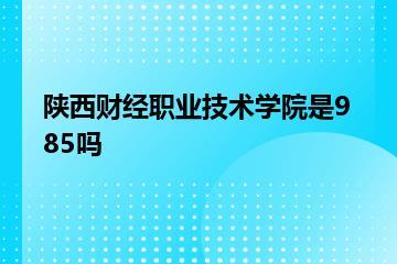 陕西财经职业技术学院是985吗？