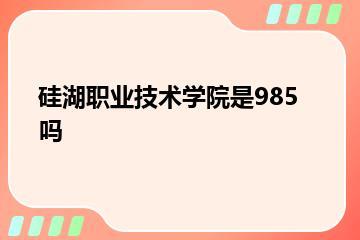 硅湖职业技术学院是985吗？