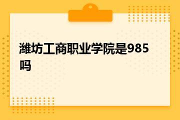 潍坊工商职业学院是985吗？
