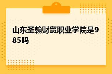 山东圣翰财贸职业学院是985吗？