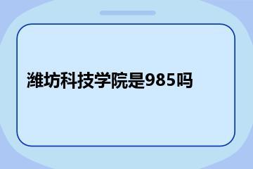 潍坊科技学院是985吗？