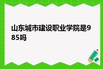 山东城市建设职业学院是985吗？