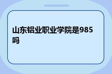 山东铝业职业学院是985吗？