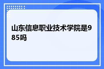 山东信息职业技术学院是985吗？