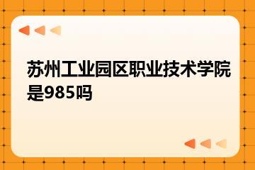 苏州工业园区职业技术学院是985吗？