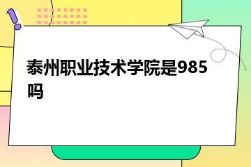 泰州职业技术学院是985吗？