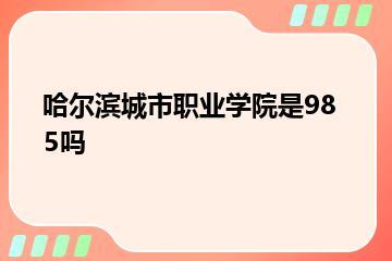 哈尔滨城市职业学院是985吗？