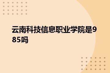 云南科技信息职业学院是985吗？