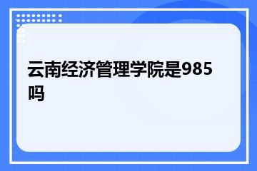 云南经济管理学院是985吗？