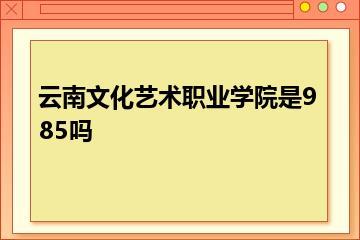 云南文化艺术职业学院是985吗？