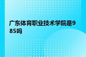 广东体育职业技术学院是985吗？