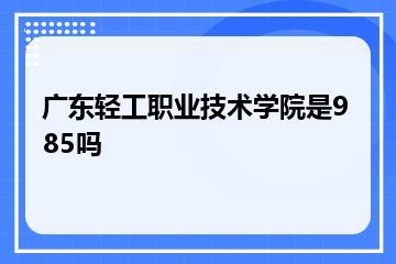 广东轻工职业技术学院是985吗？