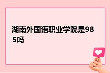 湖南外国语职业学院是985吗？