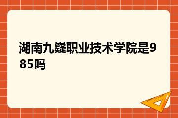 湖南九嶷职业技术学院是985吗？
