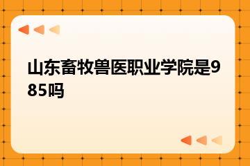 山东畜牧兽医职业学院是985吗？