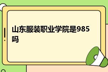 山东服装职业学院是985吗？