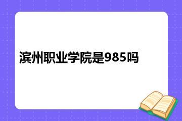 滨州职业学院是985吗？
