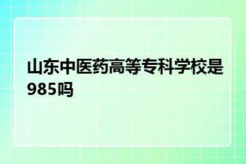 山东中医药高等专科学校是985吗？