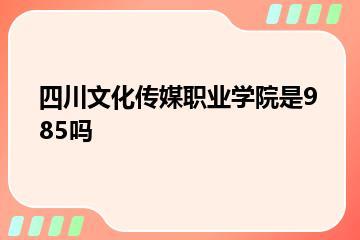 四川文化传媒职业学院是985吗？