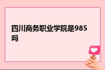四川商务职业学院是985吗？