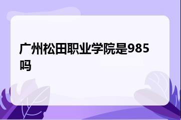 广州松田职业学院是985吗？