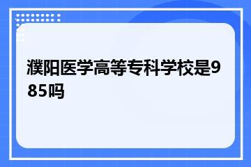 濮阳医学高等专科学校是985吗？