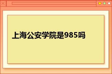 上海公安学院是985吗？