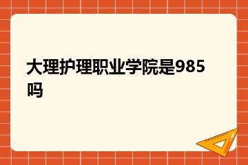 大理护理职业学院是985吗？