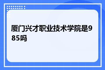 厦门兴才职业技术学院是985吗？