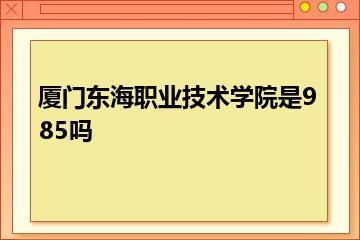 厦门东海职业技术学院是985吗？