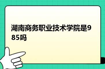 湖南商务职业技术学院是985吗？