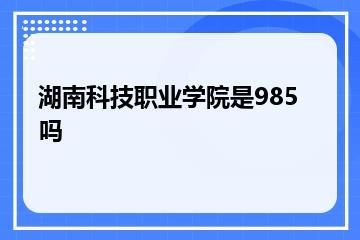 湖南科技职业学院是985吗？