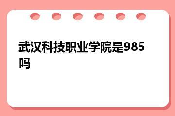 武汉科技职业学院是985吗？