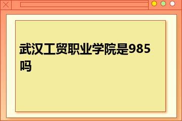 武汉工贸职业学院是985吗？