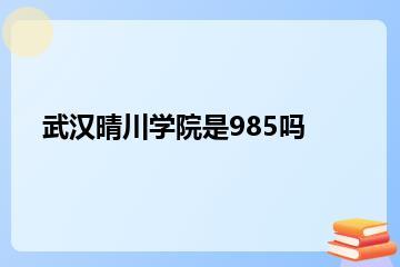 武汉晴川学院是985吗？