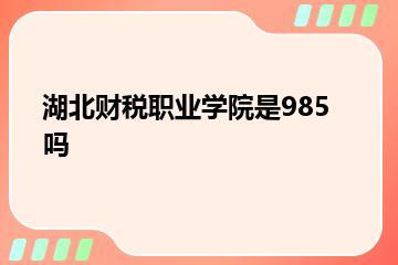 湖北财税职业学院是985吗？
