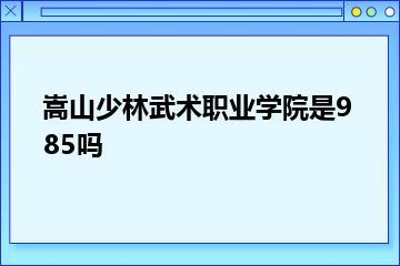 嵩山少林武术职业学院是985吗？