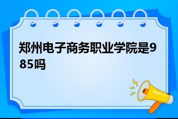 郑州电子商务职业学院是985吗？