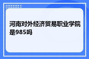 河南对外经济贸易职业学院是985吗？