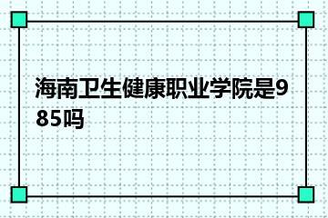 海南卫生健康职业学院是985吗？
