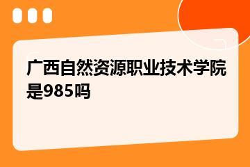 广西自然资源职业技术学院是985吗？